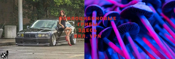 индика Дмитровск