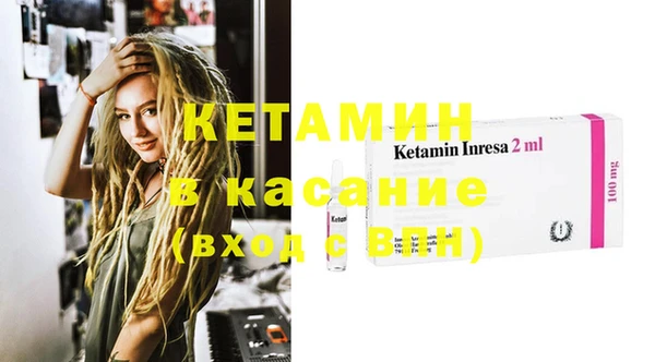 индика Дмитровск