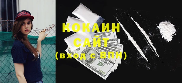 винт Дмитров