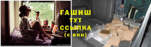 индика Дмитровск