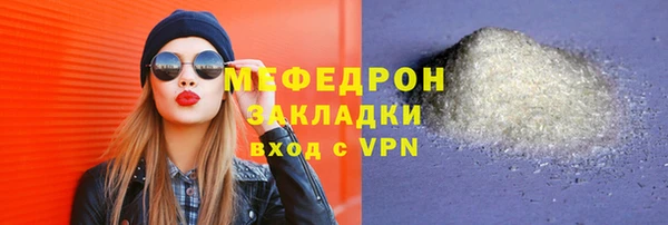 индика Дмитровск