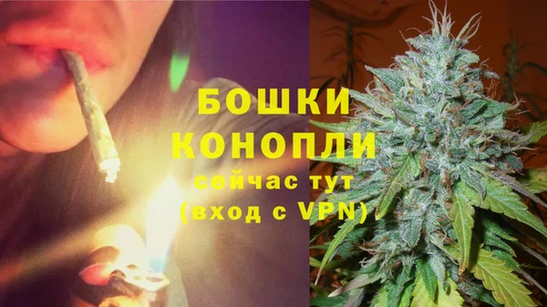 индика Дмитровск
