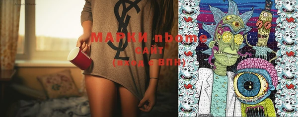 индика Дмитровск
