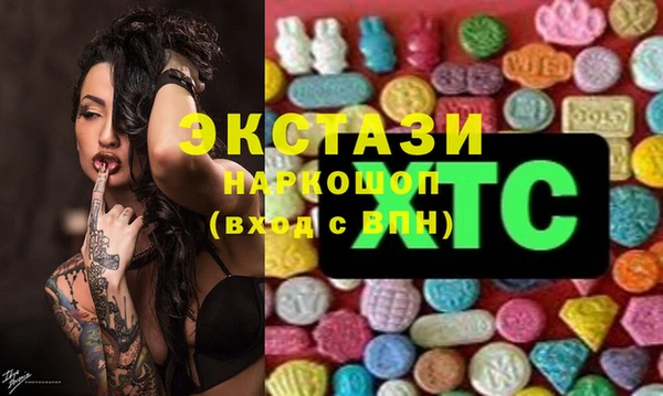 индика Дмитровск