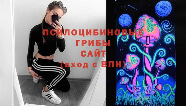 индика Дмитровск