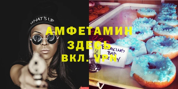 индика Дмитровск