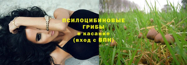 индика Дмитровск