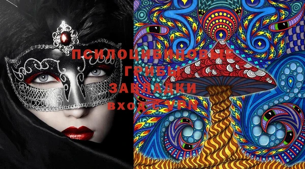 индика Дмитровск
