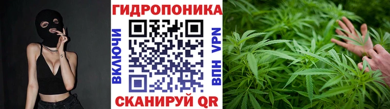 МЕГА ссылки  наркотики  Светлогорск  Конопля White Widow 